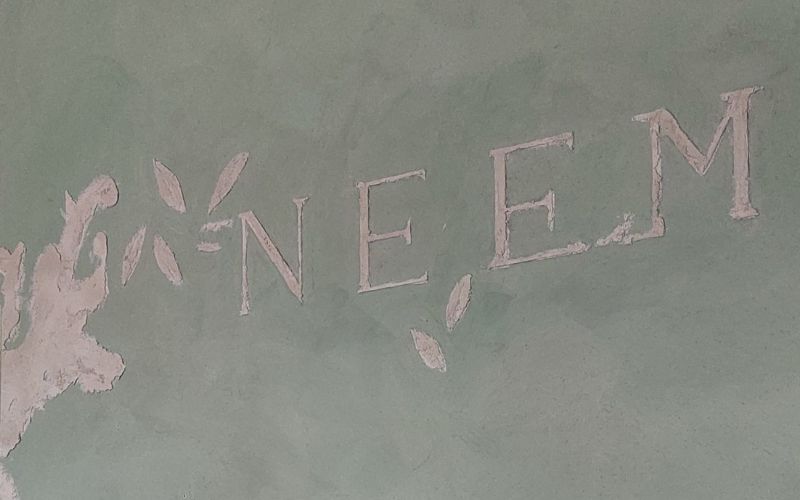 Neem ekokampaamo